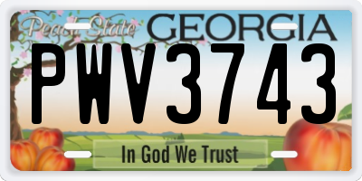 GA license plate PWV3743