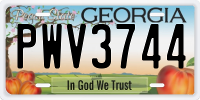 GA license plate PWV3744