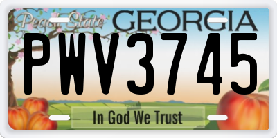 GA license plate PWV3745