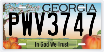 GA license plate PWV3747