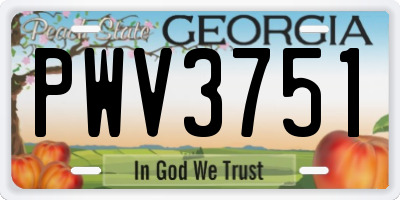 GA license plate PWV3751