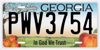 GA license plate PWV3754