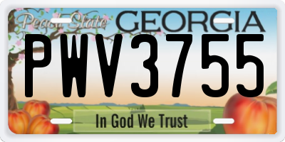GA license plate PWV3755