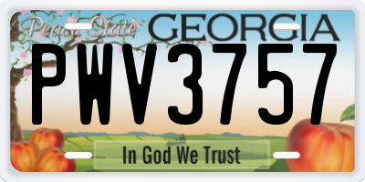 GA license plate PWV3757