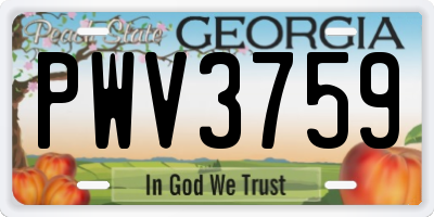GA license plate PWV3759