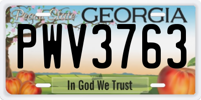 GA license plate PWV3763