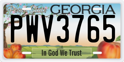 GA license plate PWV3765