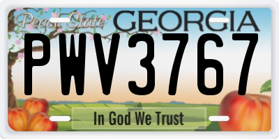 GA license plate PWV3767