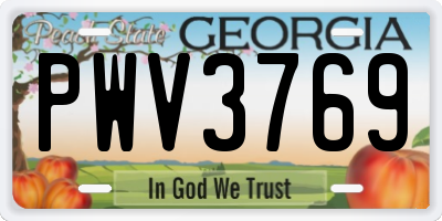 GA license plate PWV3769
