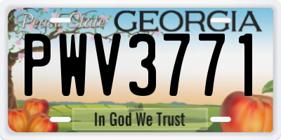 GA license plate PWV3771