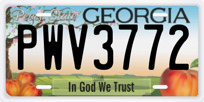 GA license plate PWV3772