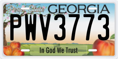 GA license plate PWV3773