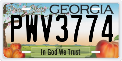 GA license plate PWV3774