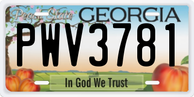 GA license plate PWV3781