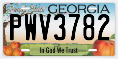 GA license plate PWV3782