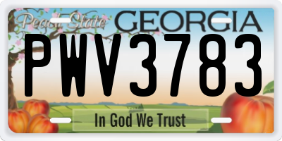 GA license plate PWV3783