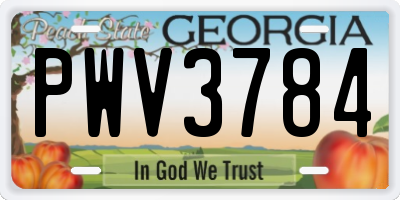 GA license plate PWV3784