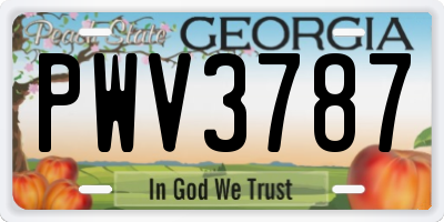 GA license plate PWV3787