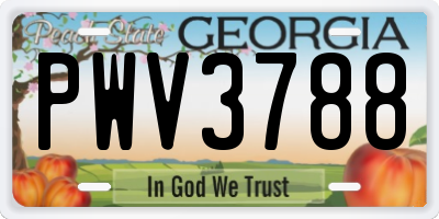 GA license plate PWV3788