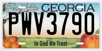 GA license plate PWV3790
