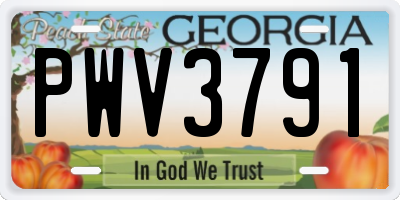 GA license plate PWV3791