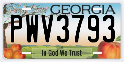 GA license plate PWV3793