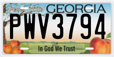 GA license plate PWV3794