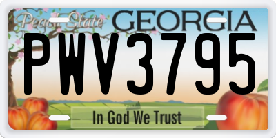 GA license plate PWV3795