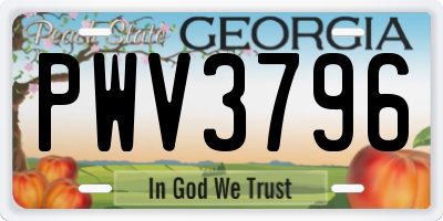 GA license plate PWV3796
