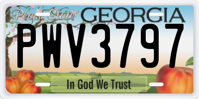 GA license plate PWV3797