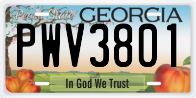 GA license plate PWV3801