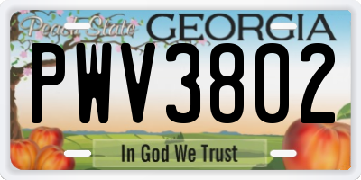 GA license plate PWV3802