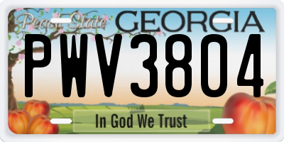 GA license plate PWV3804
