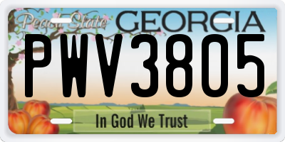 GA license plate PWV3805