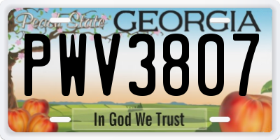 GA license plate PWV3807