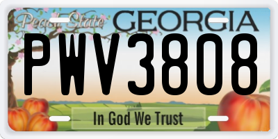 GA license plate PWV3808