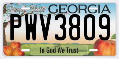 GA license plate PWV3809