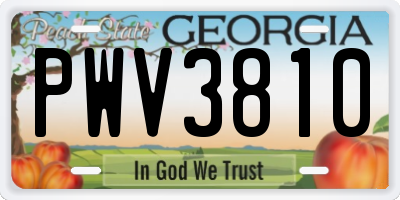 GA license plate PWV3810