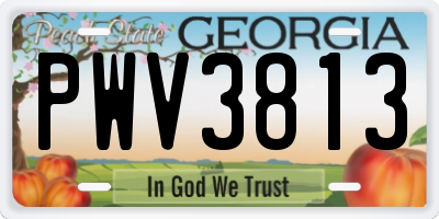 GA license plate PWV3813