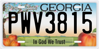 GA license plate PWV3815