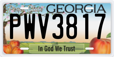 GA license plate PWV3817