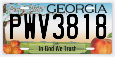 GA license plate PWV3818