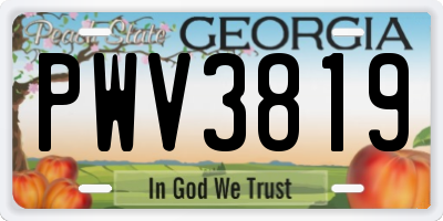 GA license plate PWV3819