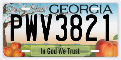 GA license plate PWV3821
