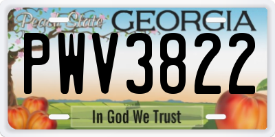 GA license plate PWV3822