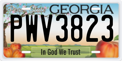 GA license plate PWV3823