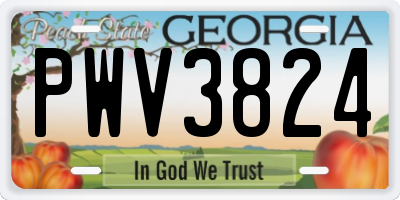 GA license plate PWV3824