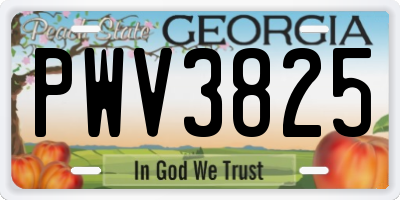 GA license plate PWV3825