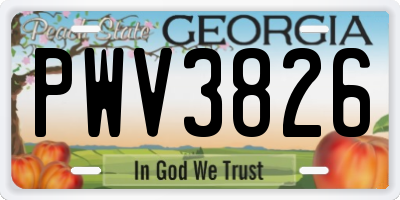 GA license plate PWV3826