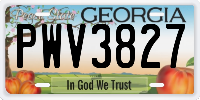 GA license plate PWV3827